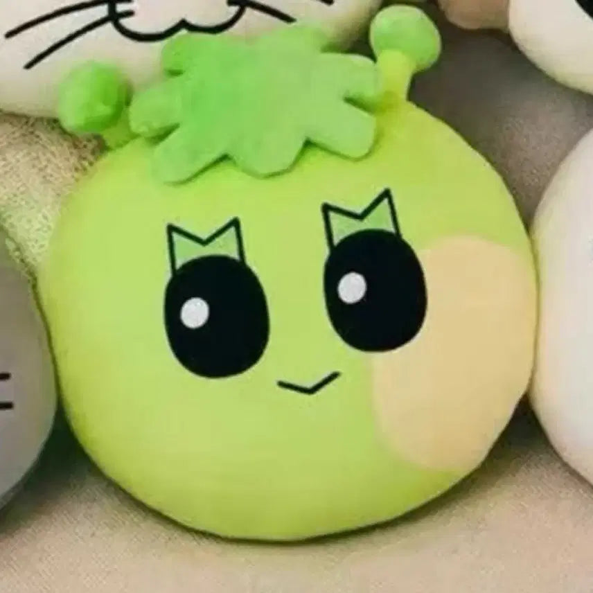 보넥도 쁘넥도 삼한이 쿠샨