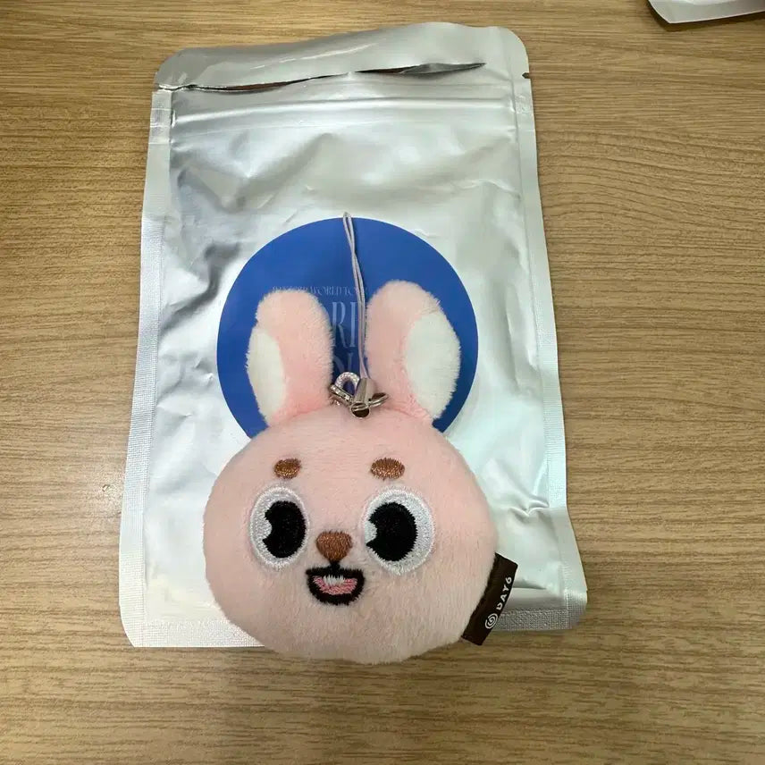 데이식스 포에버영 데니멀즈 페이스키링 원필