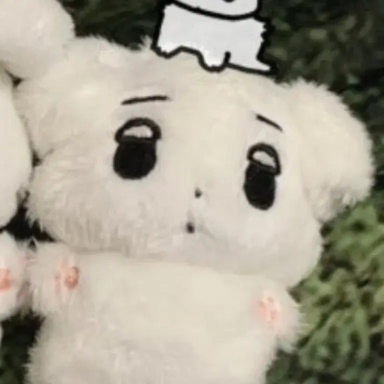 aespa ウィンタードール　ウィンター ぬいぐるみ 직직이 韓国 ドール Amazon.co.jp: aespa winter エスパ ウィンター ぬいぐるみ 직직