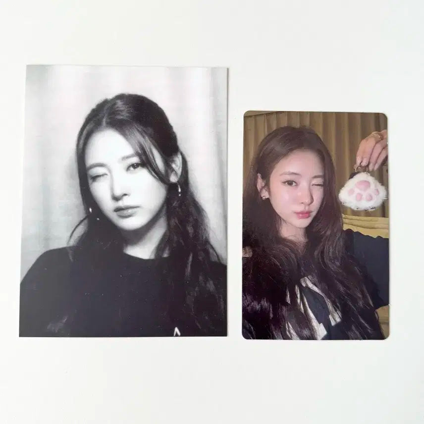 미야오 안나 포카 젤리파우 앨범 (키링X) meovv anna 미공포