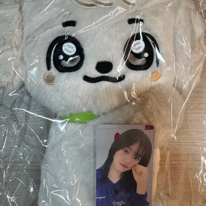 아이브 미니브 강안지 안유진 미개봉 허그가방 양도
