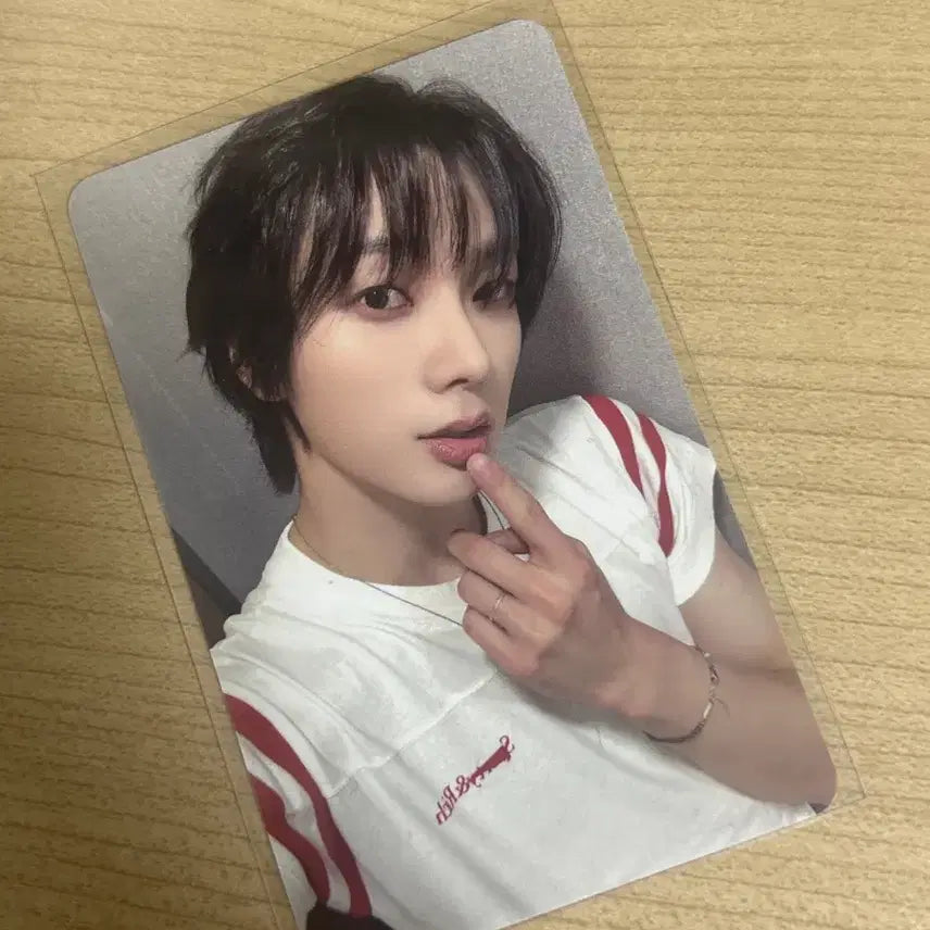 보넥도 성호 노장르 뮤앤드 포카 판매