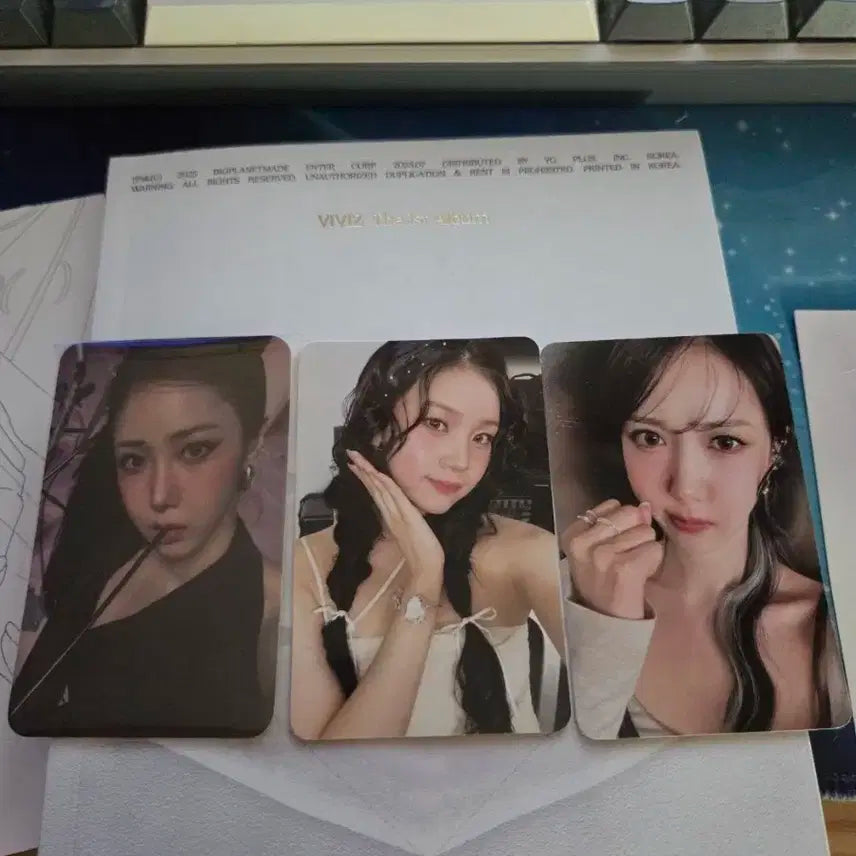 예약 비비지 신비