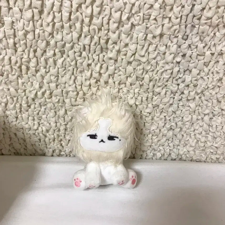 세븐틴 우지 인형 백예뾰 재양도