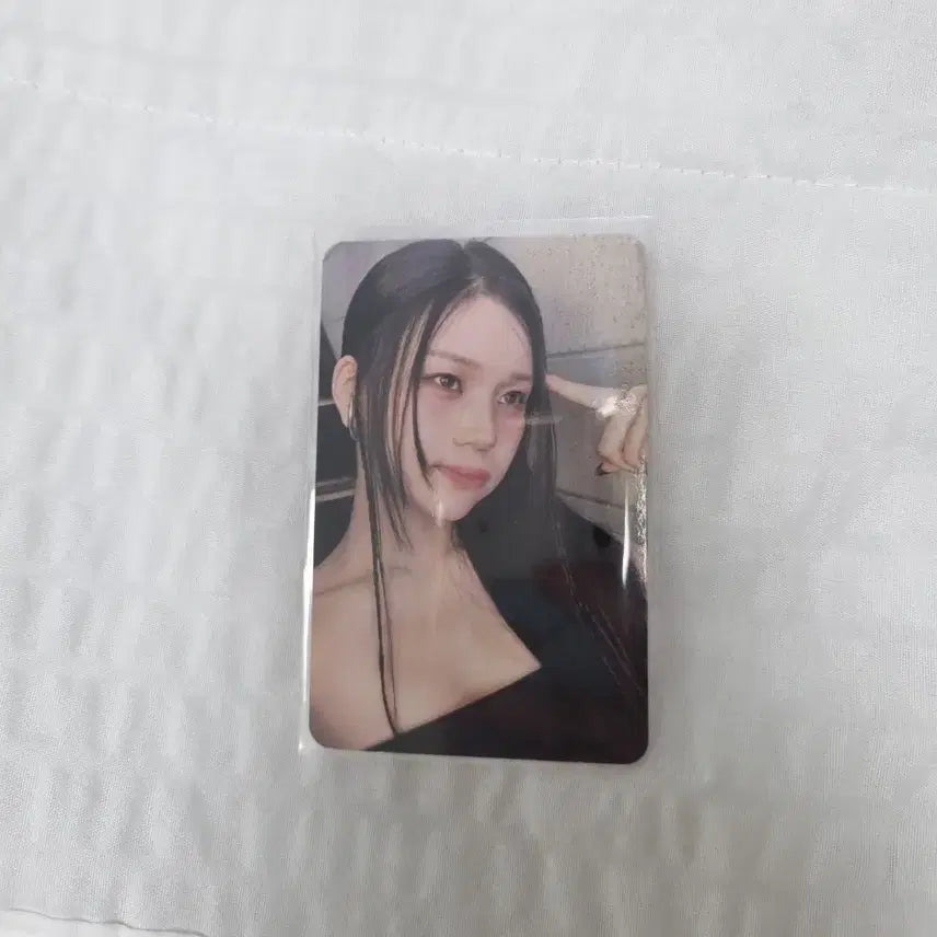 비비지 엄지 라라럽미 포카