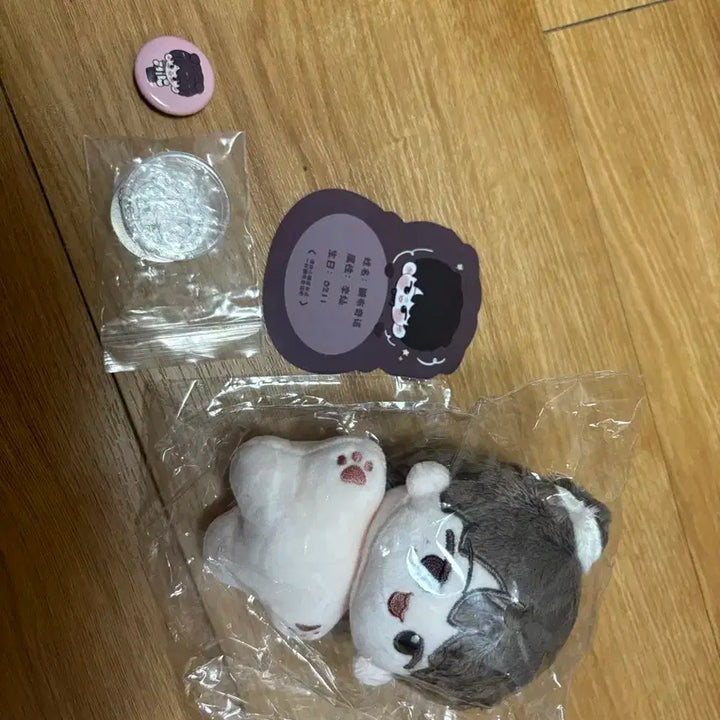 세븐틴 디노 인형 수달푸치노 판매