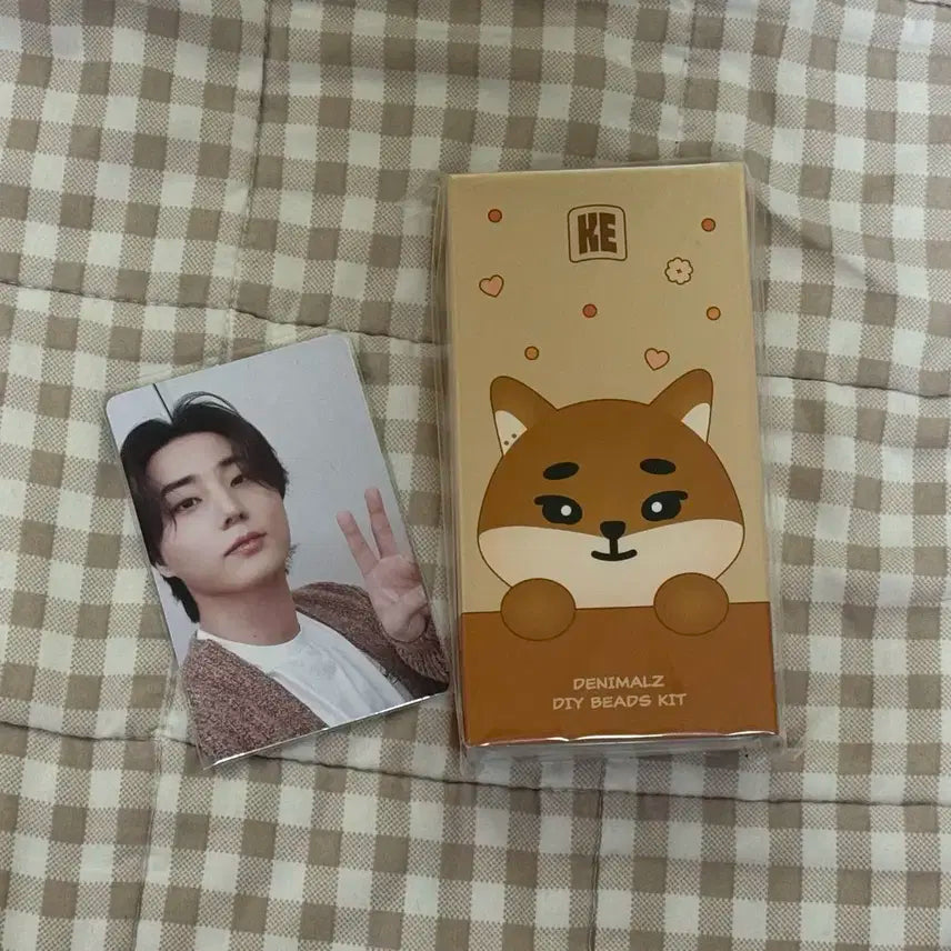 데이식스 영케이 케 비즈