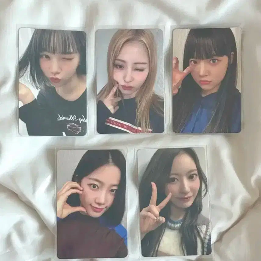 르세라핌 피어나1기 포토카드