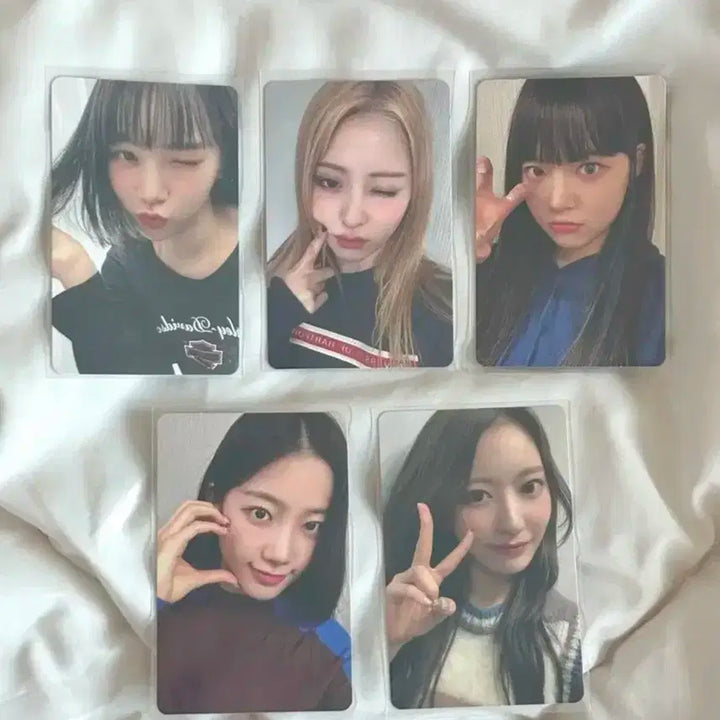 르세라핌 피어나1기 포토카드