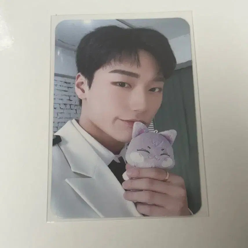 에이티즈 산 애니티즈 팝업 인형 포카