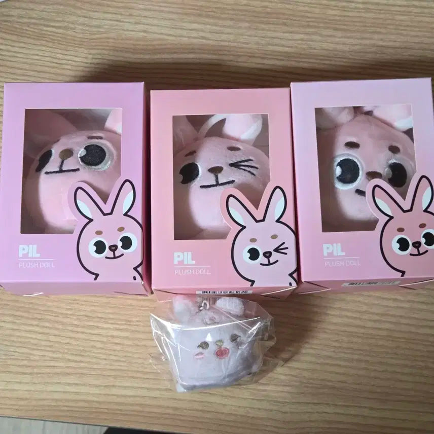 데이식스 데니멀즈 필끼 필 18 19 20 21 일괄 양도