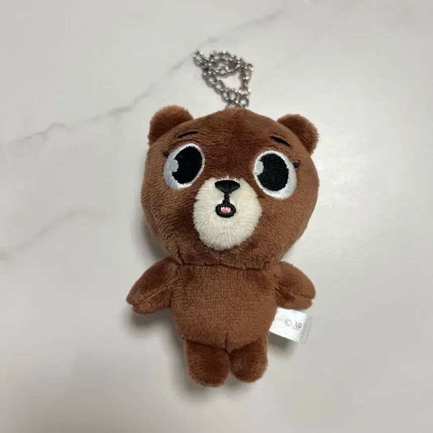 데이식스 데니멀즈 일본 엠디 백참 방