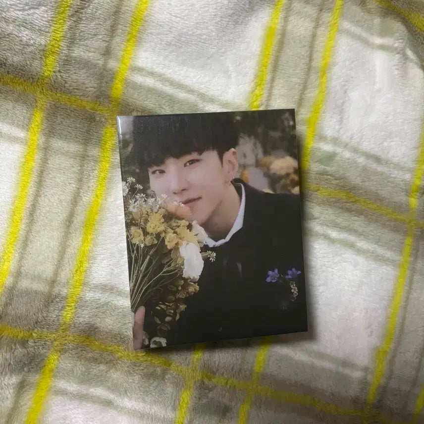 세븐틴 fml 캐럿반 호시