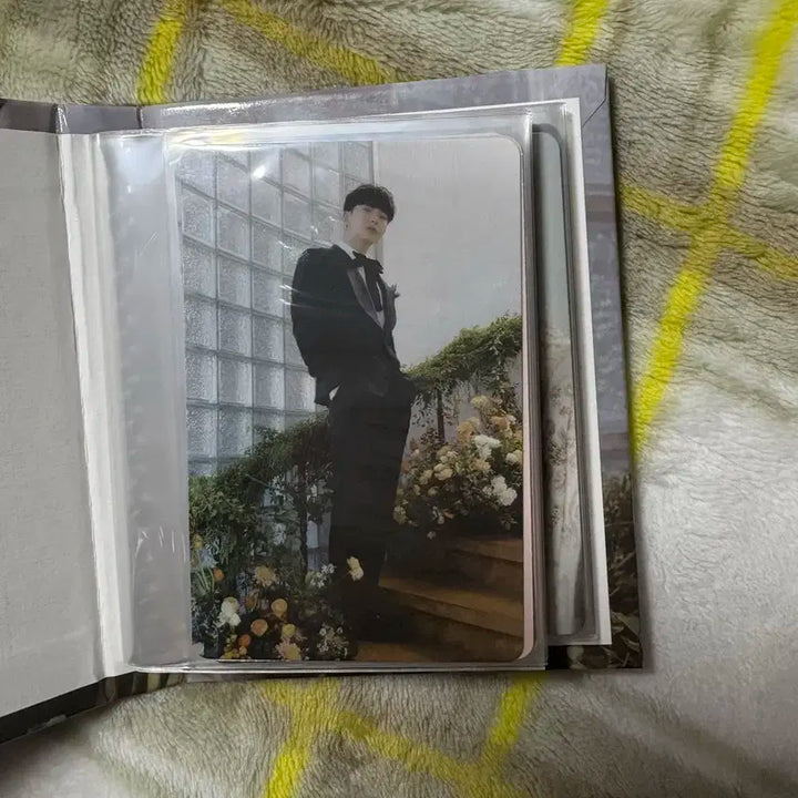 세븐틴 fml 캐럿반 호시