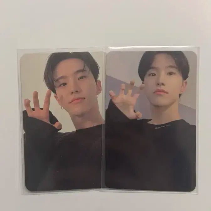 세븐틴 호시 유얼초이스 세미콜론 이즈위 미공포 일괄 양도