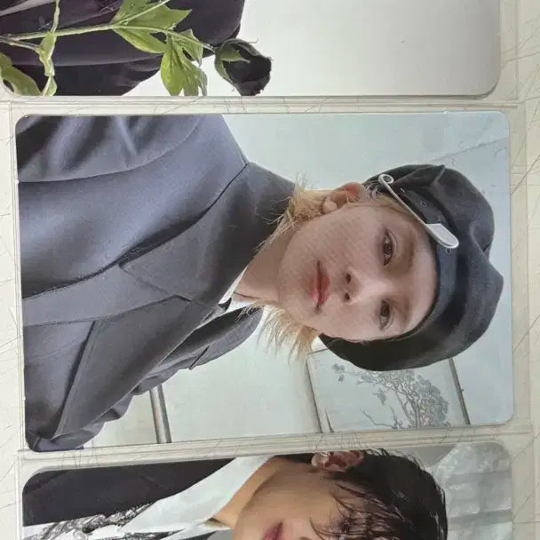 세븐틴 정한 포카 3장 일괄 양도