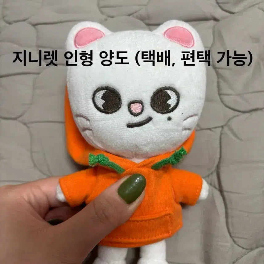 지니렛 양도