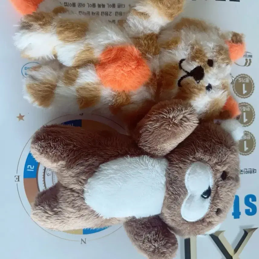보이넥스트도어 쁘넥도 보넥도 성호 리우 인형 양도합니다