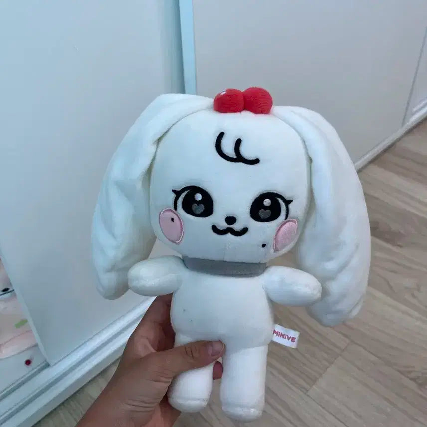 미니브 체리