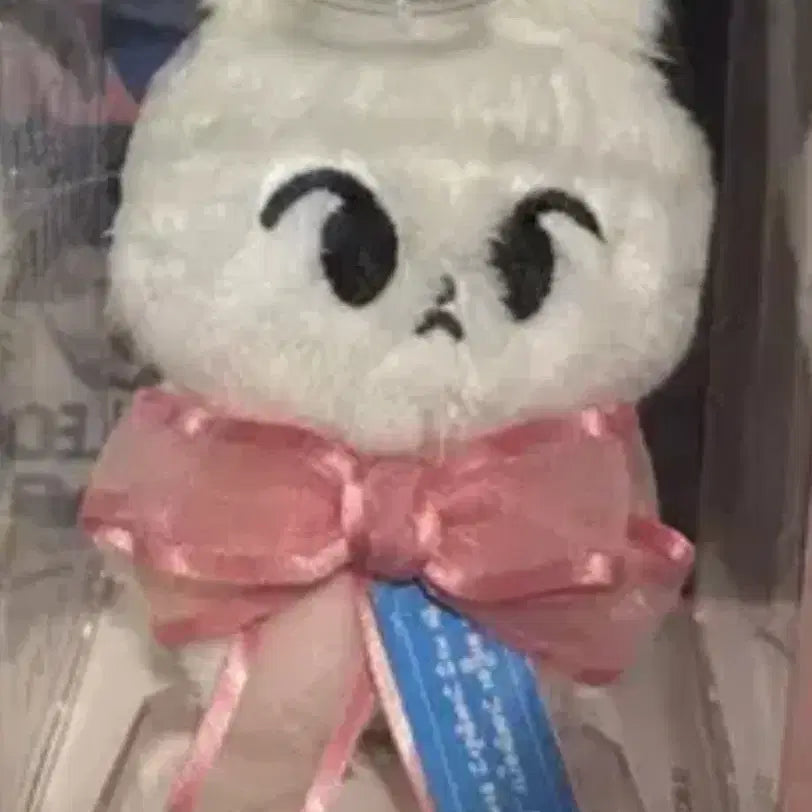 엔시티 127 도영 하또 인형 양도