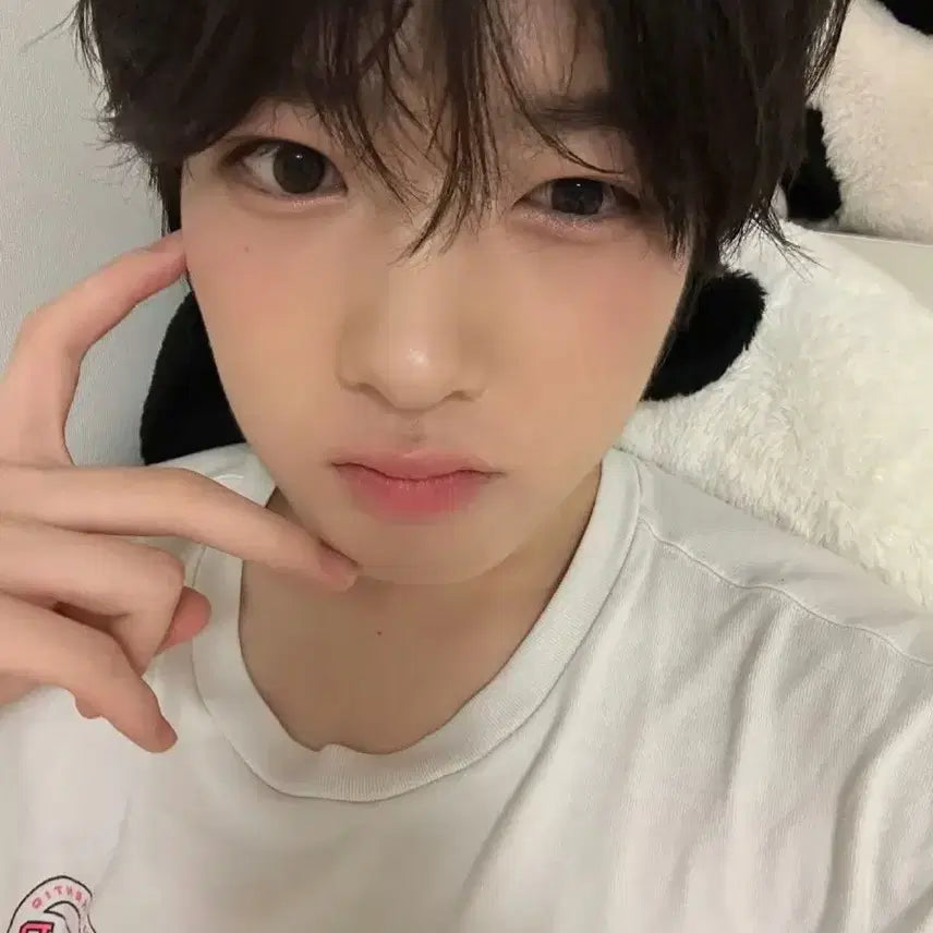 처분) 엔시티 위시 비공굿 랜박