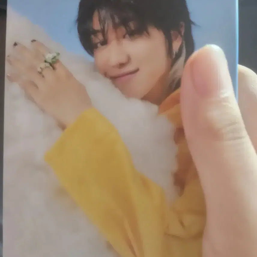 세븐틴 명호 포토카드 판매