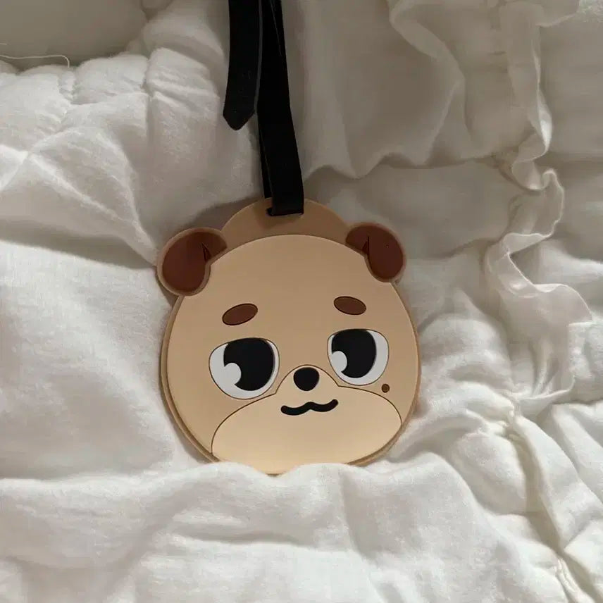 데이식스 일본 엠디 러기지택 도운
