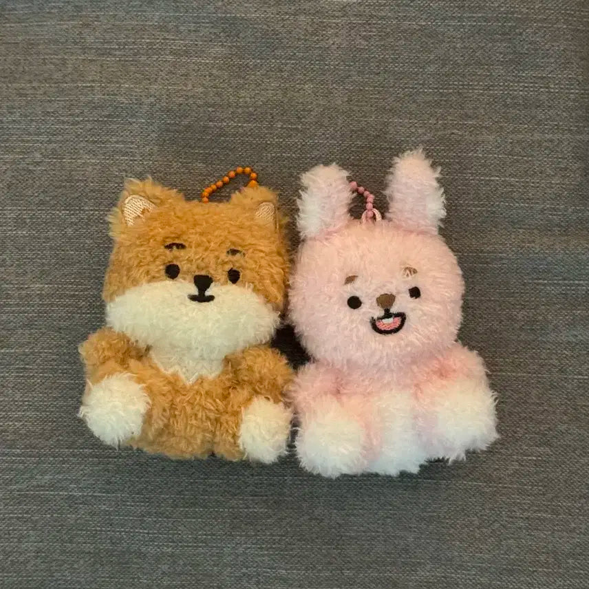 데이식스 앉은 쁘띠멀즈 앉멀 케,필 일괄