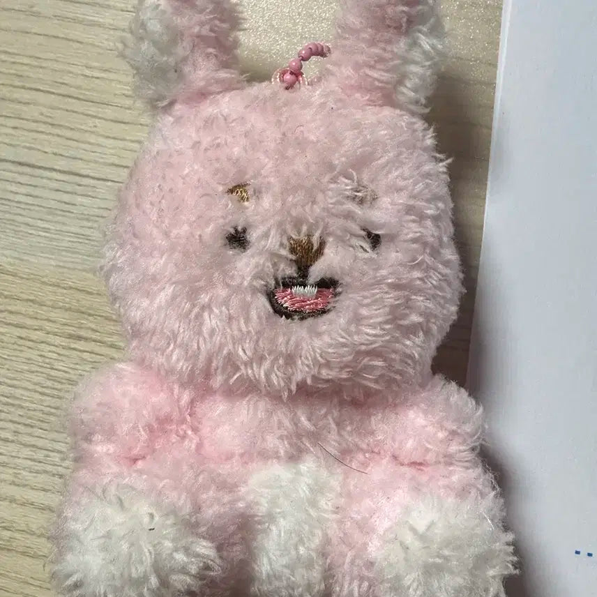 데이식스 원필 필끼 앉은필 양도합니다