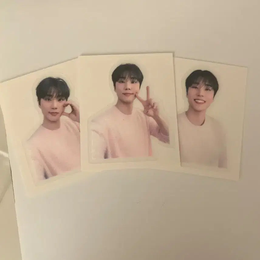 로이비 띠부띠부씰 데이식스 영케이 일괄 양도