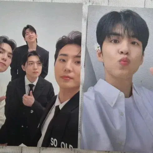 데이식스 코스모폴리탄 포카 세트(2ea)