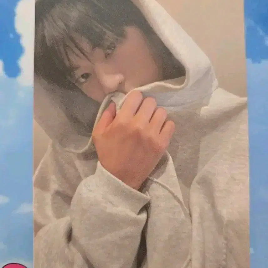투어스 도훈 포카