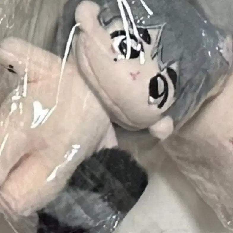 세븐틴 에스쿱스 정한 호시 인형 승구리 쫑토끼 등