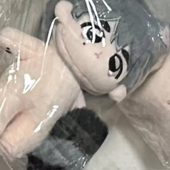 세븐틴 에스쿱스 정한 호시 인형 승구리 쫑토끼 등