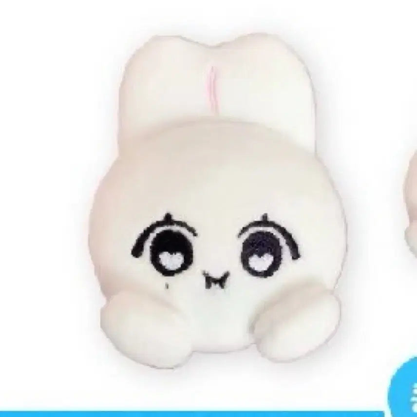 세븐틴 에스쿱스 정한 호시 인형 승구리 쫑토끼 등