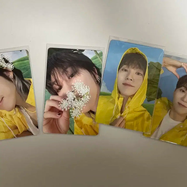 세븐틴 헤븐 캐럿버전