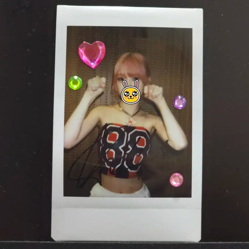 유니스 코토코 싸폴