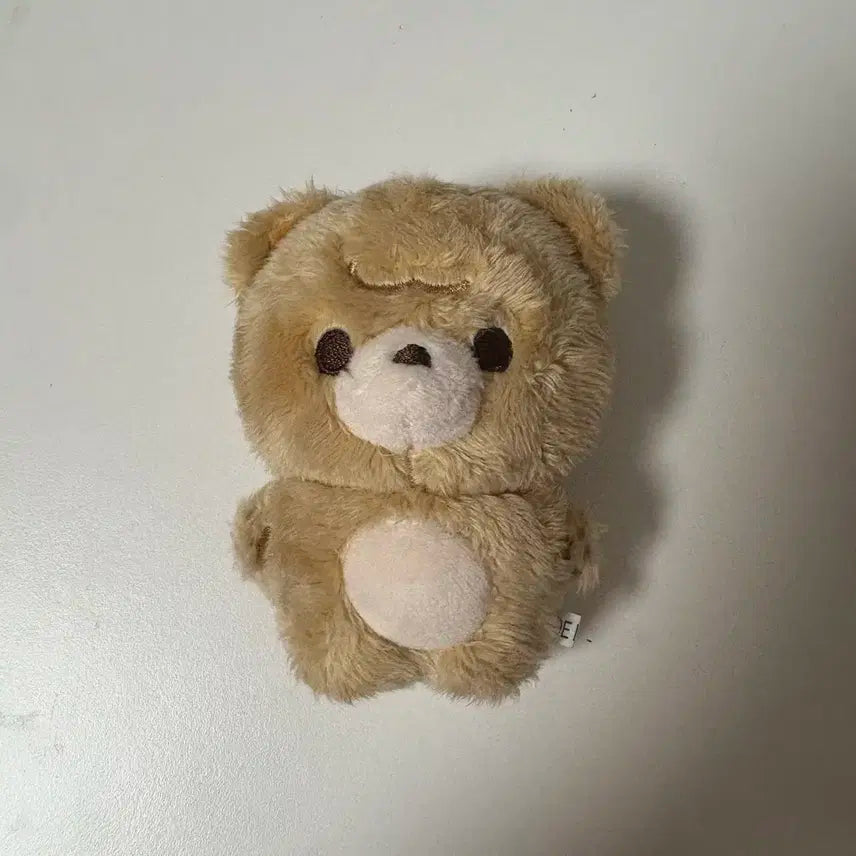 엔시티 해찬 인형 짠곰이 양도