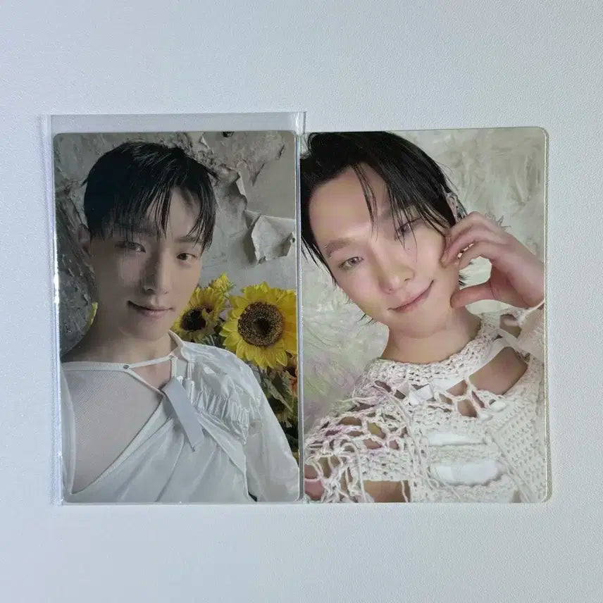 세븐틴 디노 포카 일괄 세트