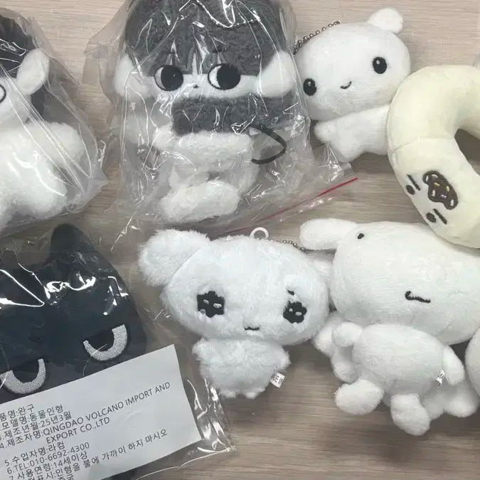 보넥도 인형 양도
