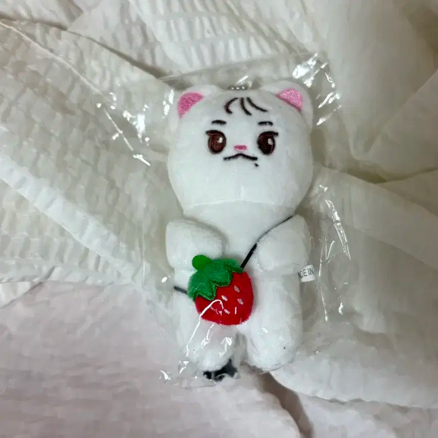 더보이즈 큐 인형 큐담비 양도
