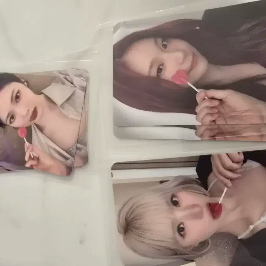 비비지 미공포