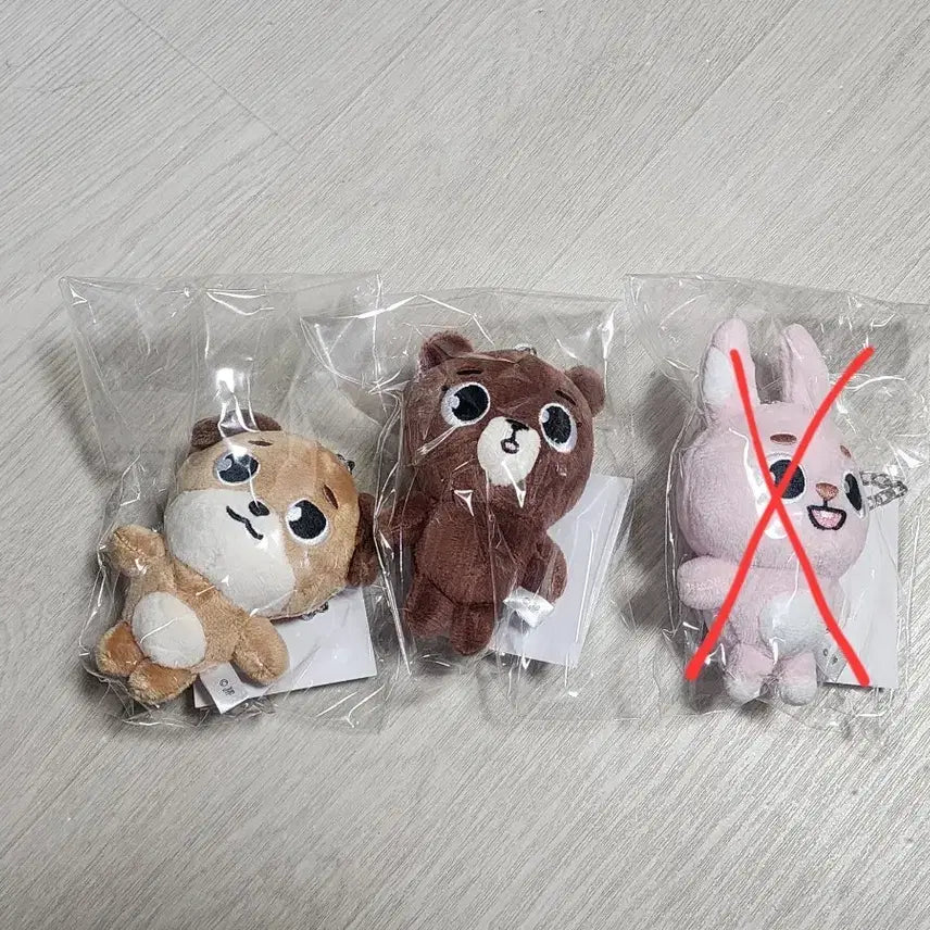 데이식스 포에버영 일본콘 엠디 백참 방, 돈