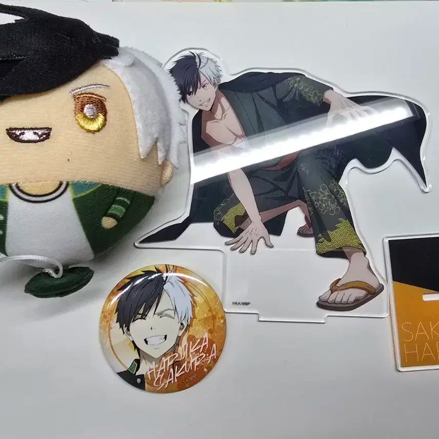 윈브레 사쿠라 일괄