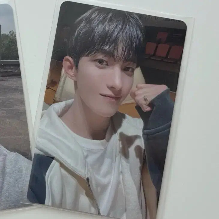 세븐틴 도겸 나고야 초회한정 포카 판매