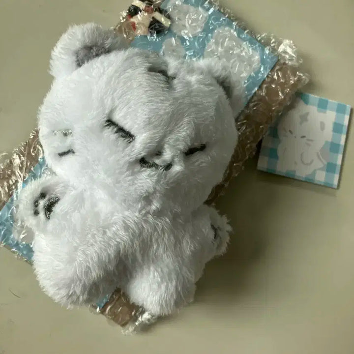 특전포함) 호찌 (세븐틴 인형 ) 양도합니다