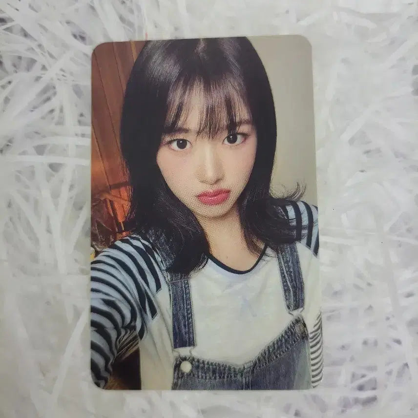 IVE SCOUT ファンコン　DIVE ZONE トレカ　ユジン IVE] IVE 2025 Fan Meeting IVE SCOUT DIVE ZONE Day2 Photocard