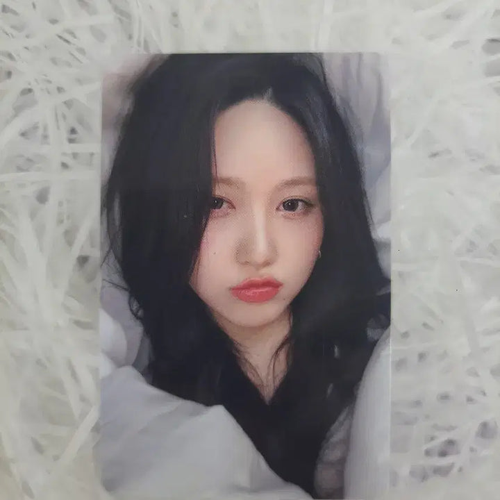 아이브 엠파시 메이크스타 가을 이불밖은위험해 포카 양도