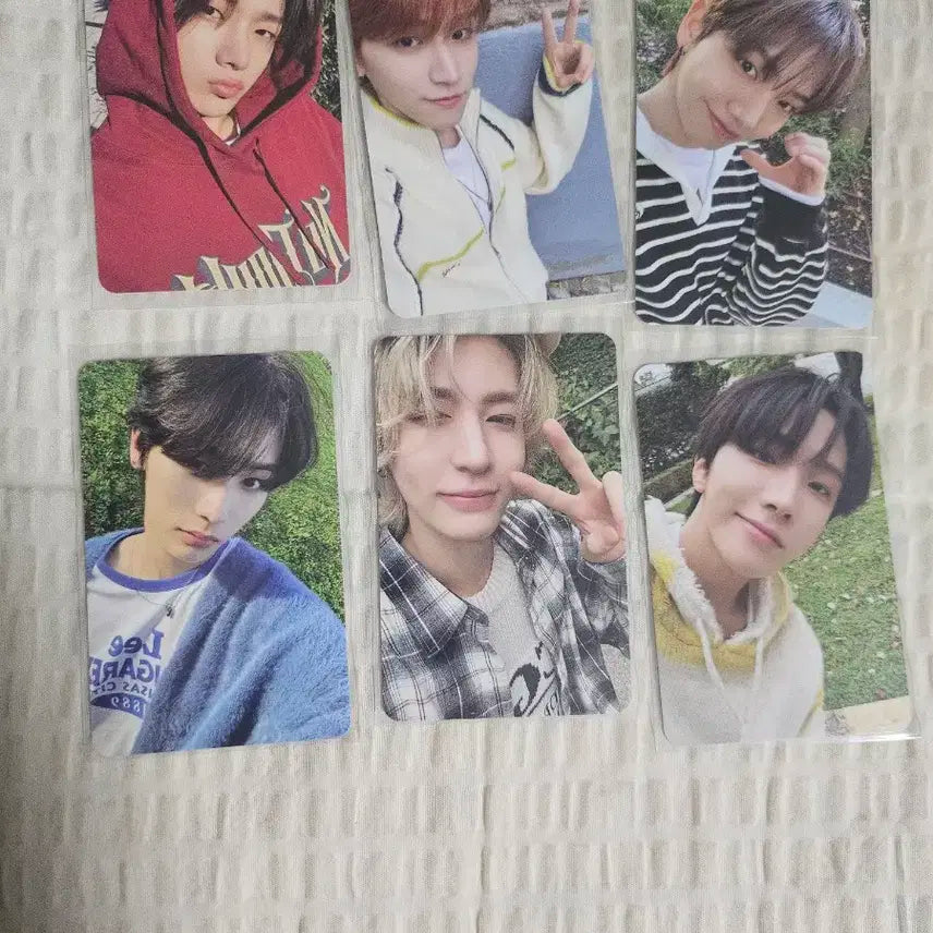 보이넥스트도어 풀구성 (급처)