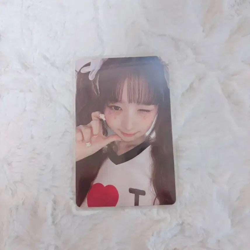 어라이브 레이 포카